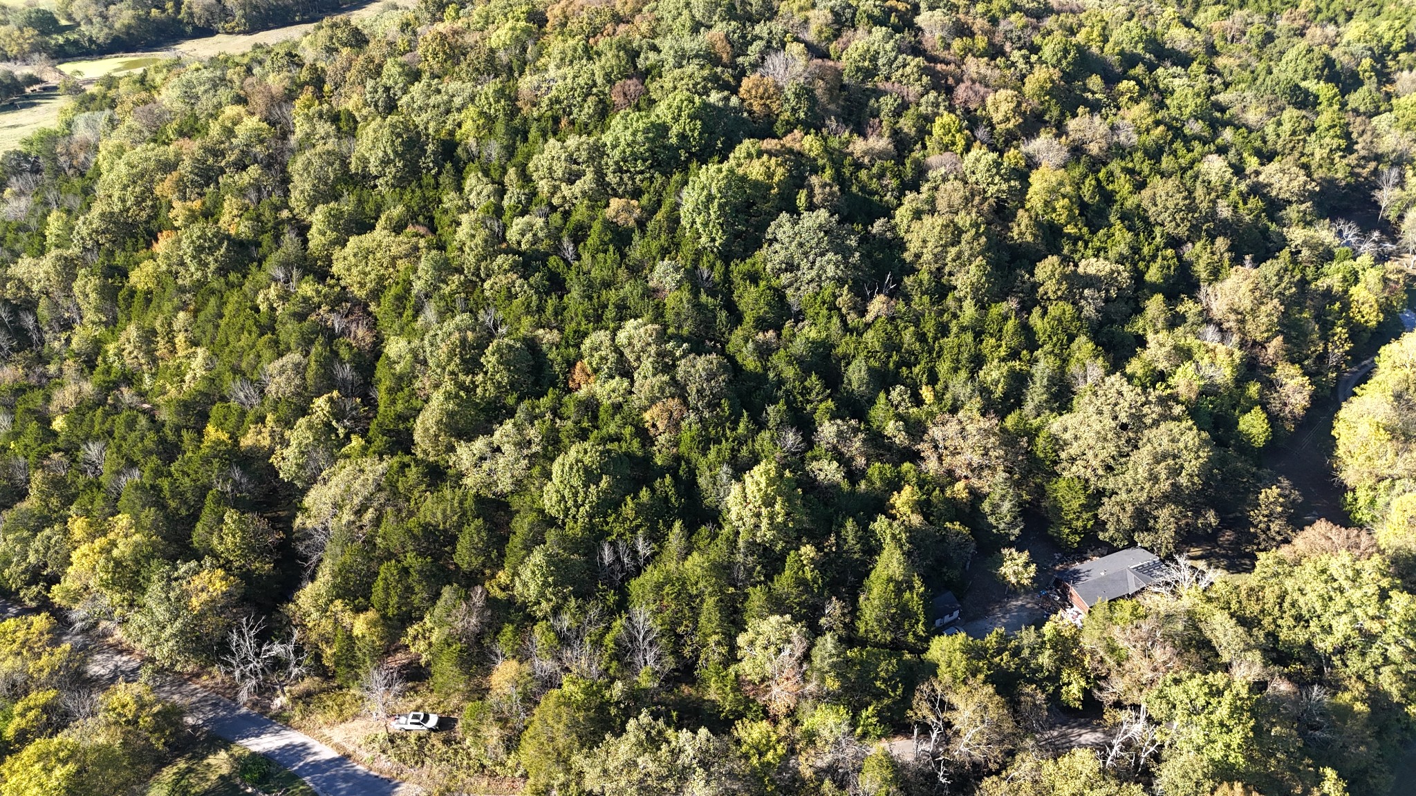 0 Celsor Road Hartsville, TN 37074 - Photo 3 of 27