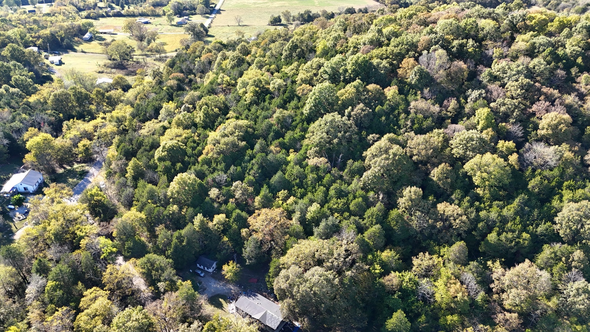 0 Celsor Road Hartsville, TN 37074 - Photo 4 of 27 a view of a bunch of flowers
