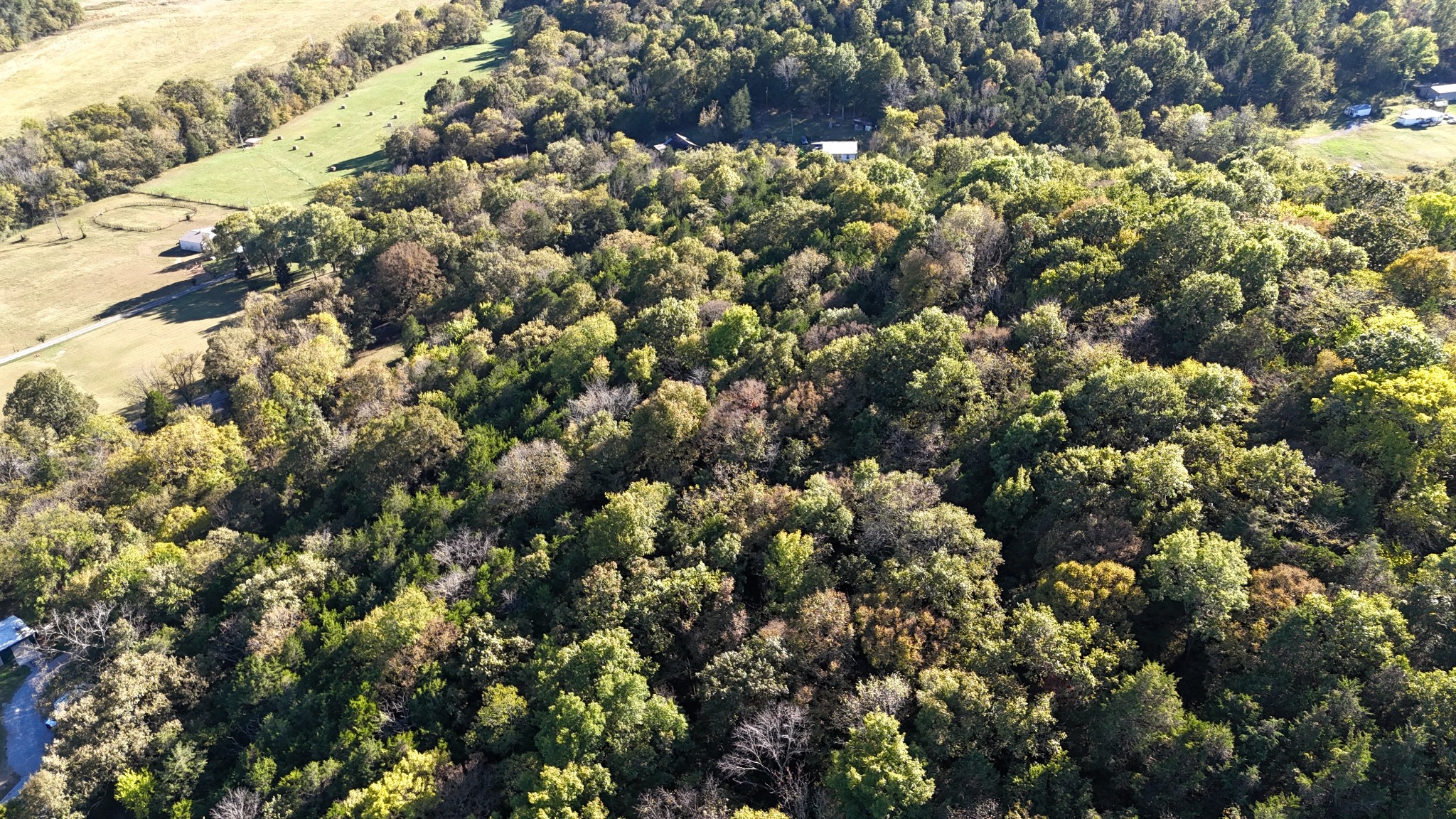 0 Celsor Road Hartsville, TN 37074 - Photo 5 of 27