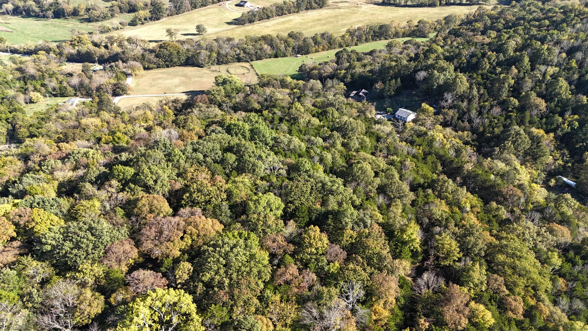 0 Celsor Road Hartsville, TN 37074 - Photo 6 of 27 a view of a bunch of trees