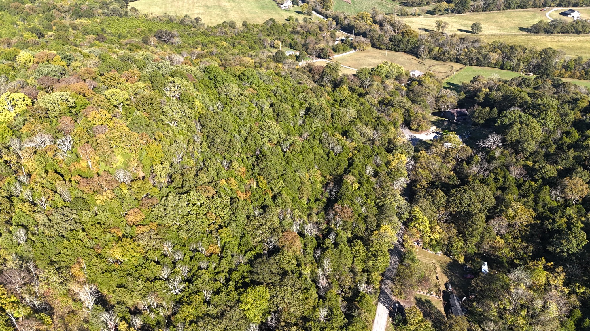 0 Celsor Road Hartsville, TN 37074 - Photo 7 of 27 a view of a yard