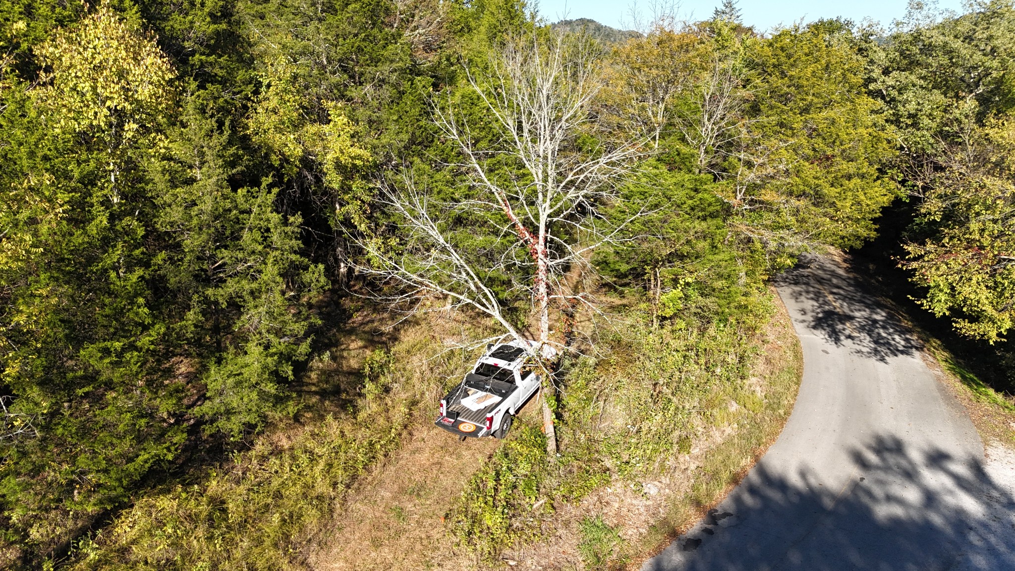 0 Celsor Road Hartsville, TN 37074 - Photo 8 of 27 a view of outdoor space with a yard