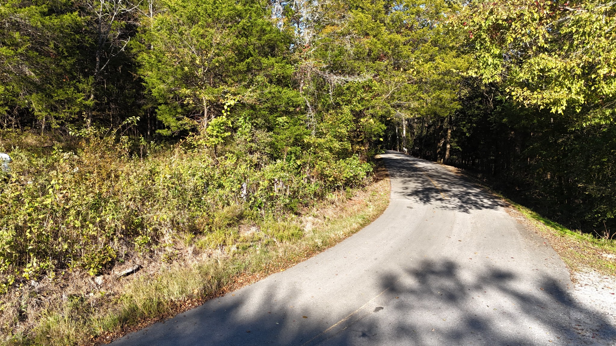 0 Celsor Road Hartsville, TN 37074 - Photo 9 of 27 a view of a yard with plants and trees