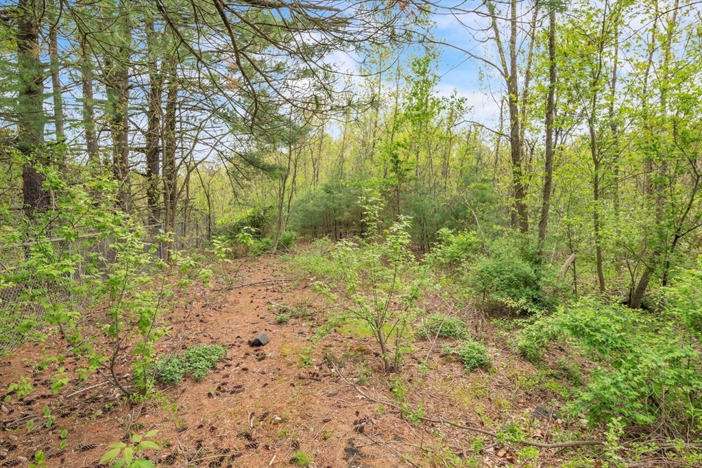 Lot 0 Thorndike And Lawrence Street Palmer, MA 01069 - Photo 14 of 22