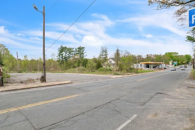 a view of a green yard with large trees