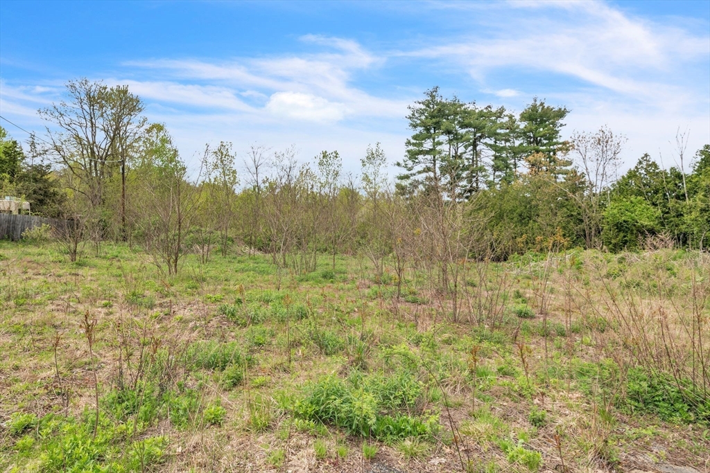 Lot 0 Thorndike And Lawrence Street Palmer, MA 01069 - Photo 18 of 22 a view of a green yard with large trees