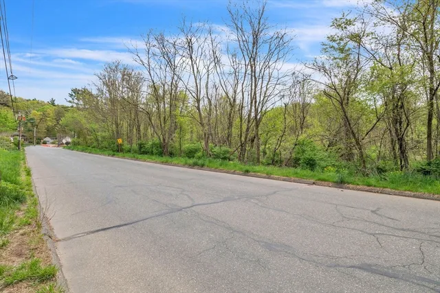 a view of a yard with potted plants and large trees