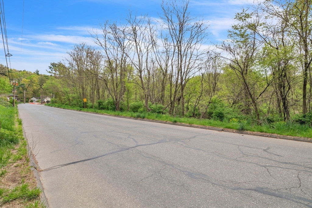 Lot 0 Thorndike And Lawrence Street Palmer, MA 01069 - Photo 5 of 22 a view of a yard with potted plants and large trees