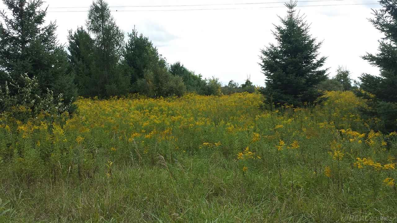 Parcel D Gilbert Memphis, MI 48041 - Photo 1 of 5