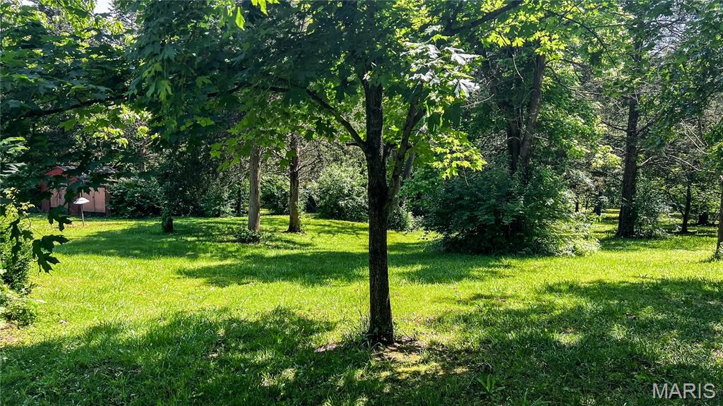 2826 Meyer Road Festus, MO 63028 - Photo 7 of 30