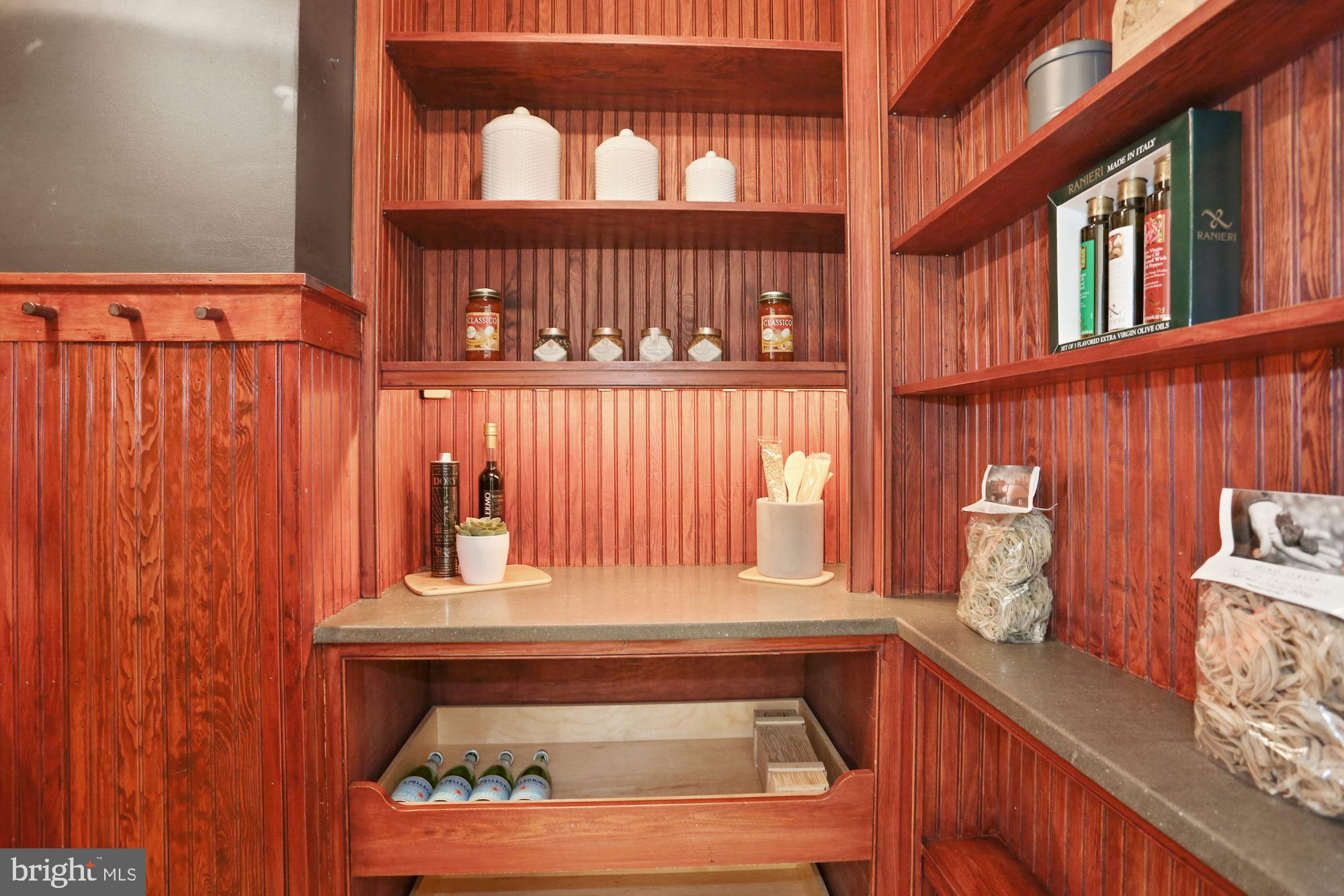 3310 Ross Place Northwest Washington, DC 20008 - Photo 21 of 67 Pantry