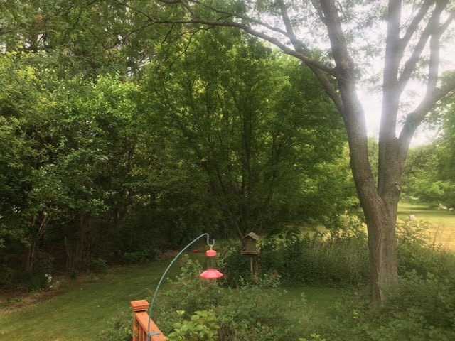 9-n087 Corron Road Elgin, IL 60124 - Photo 11 of 12 a backyard of a house with lots of green space and lake view