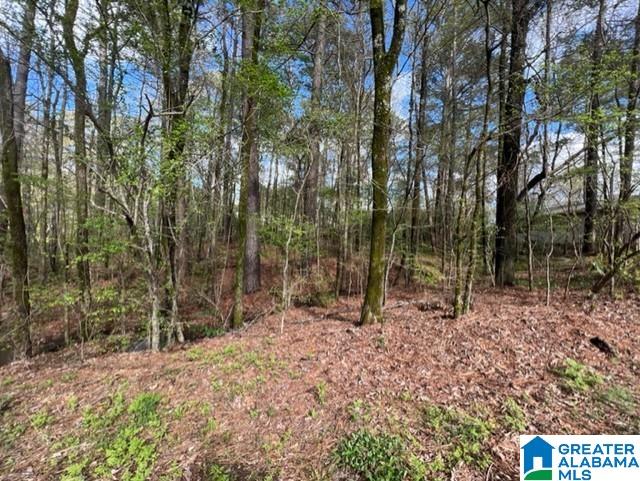 Allison Drive, Unit 27 Dora, AL 35062 - Photo 1 of 4
