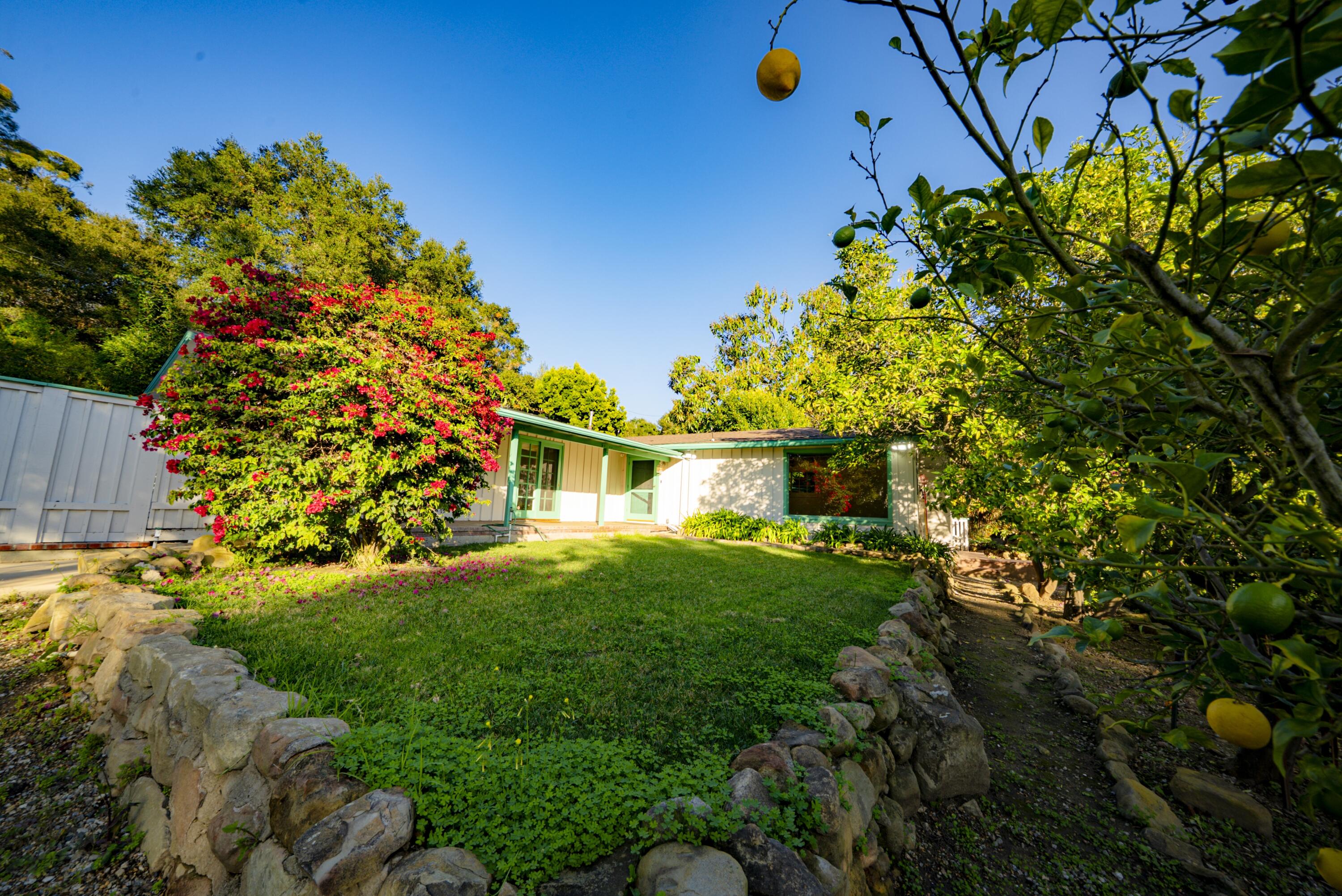 704 Ladera Lane Santa Barbara, CA 93108 - Photo 19 of 20 a view of a yard with plants and large trees