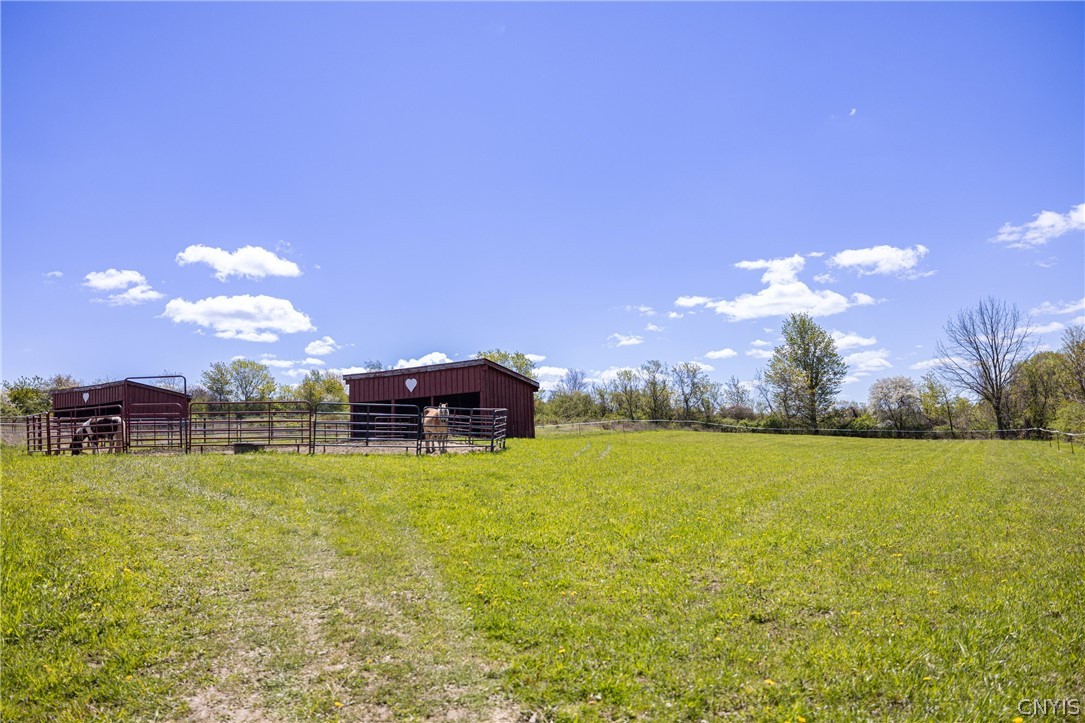 1900 Rose Hill Road Skaneateles, NY 13152 - Photo 6 of 45