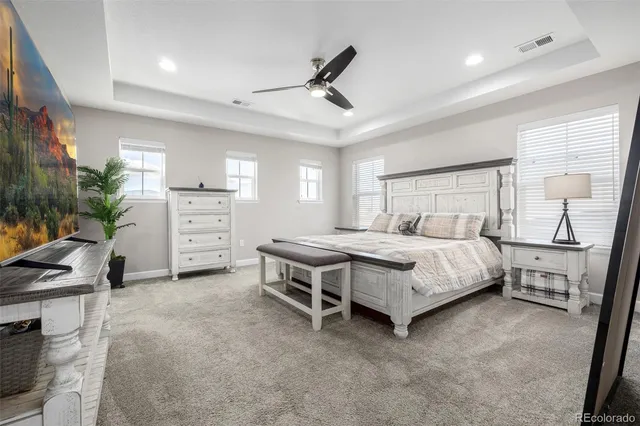 $1,050,000 | 9021 Swan River Street, Littleton, CO 80125