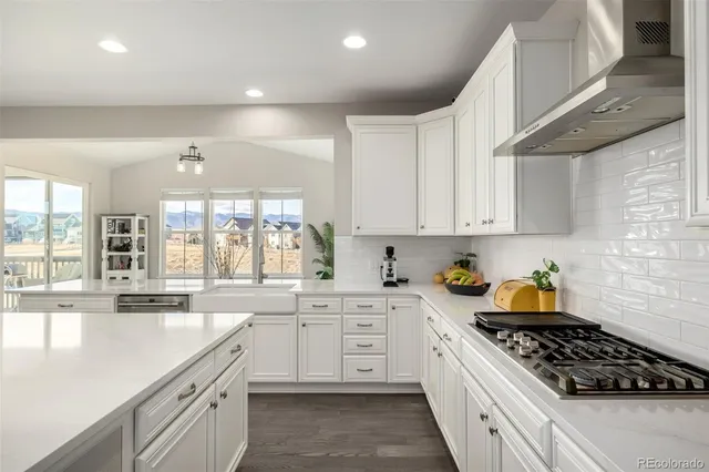 $1,050,000 | 9021 Swan River Street, Littleton, CO 80125