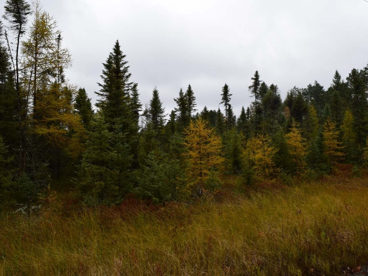 On On Lake Road Tomahawk, WI 54487 - Photo 22 of 23 Gallery Image 22