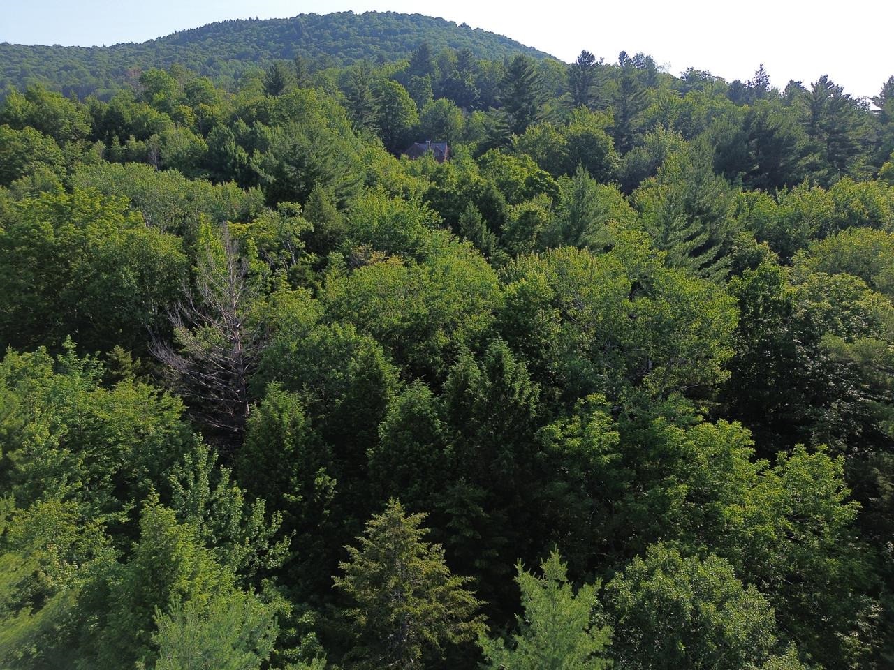 0 Old Carriage Road Waitsfield, VT 05673 - Photo 9 of 24