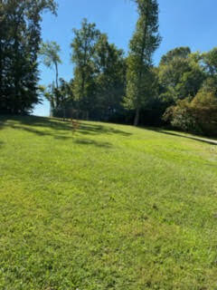 1775 Manley Road Rutledge, TN 37861 - Photo 13 of 32 unnamed (4)