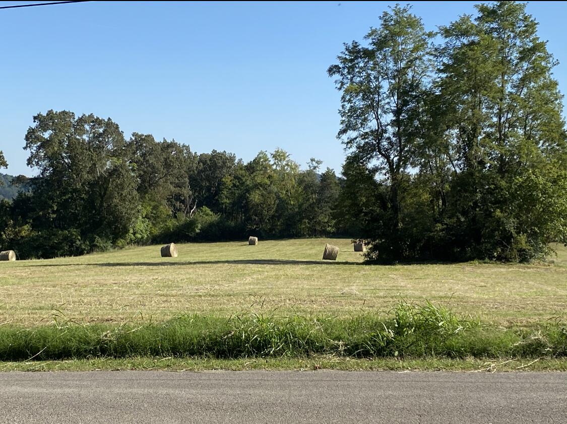 1775 Manley Road Rutledge, TN 37861 - Photo 14 of 32 View recent photos