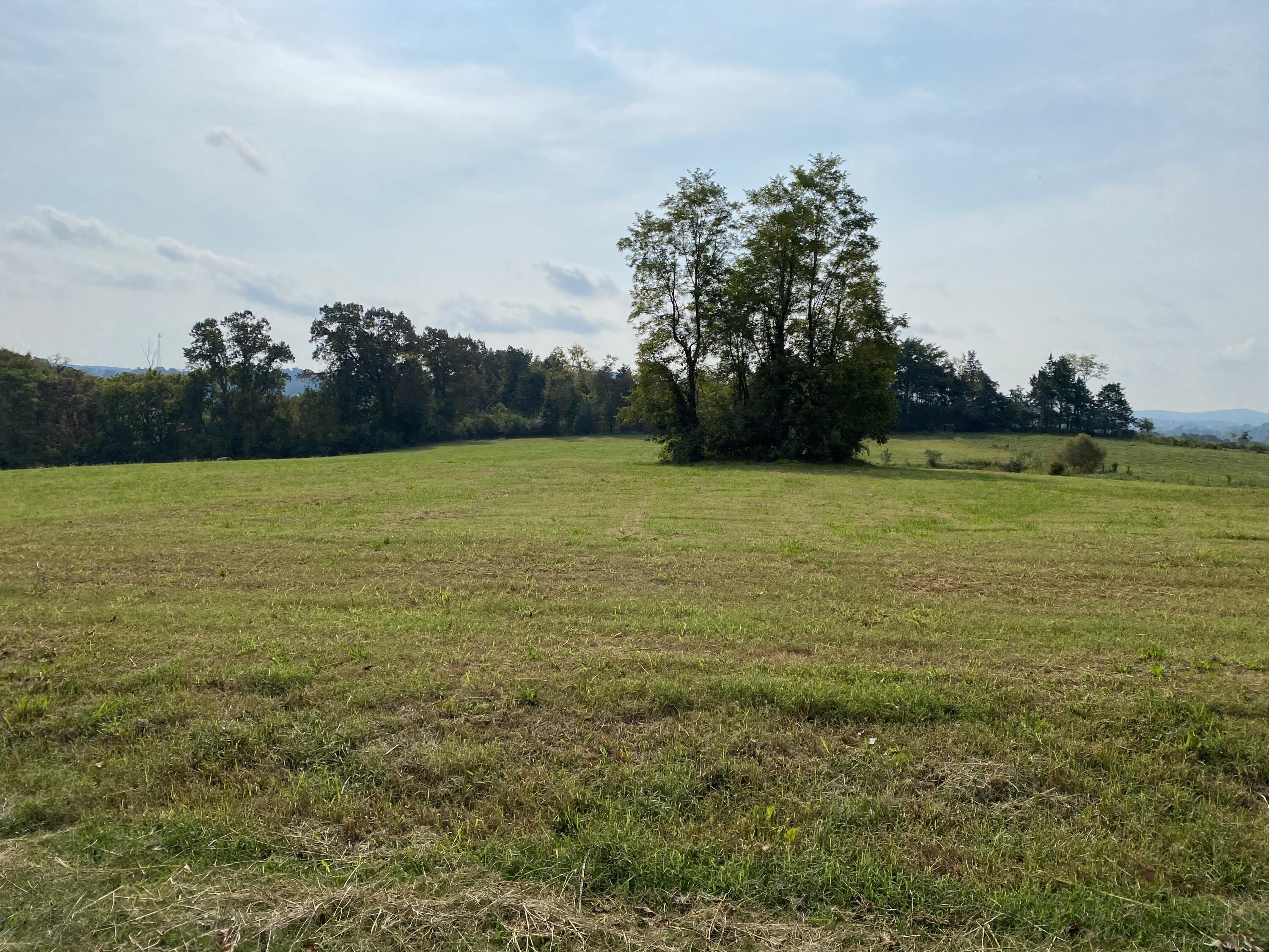 1775 Manley Road Rutledge, TN 37861 - Photo 17 of 32 IMG_6648