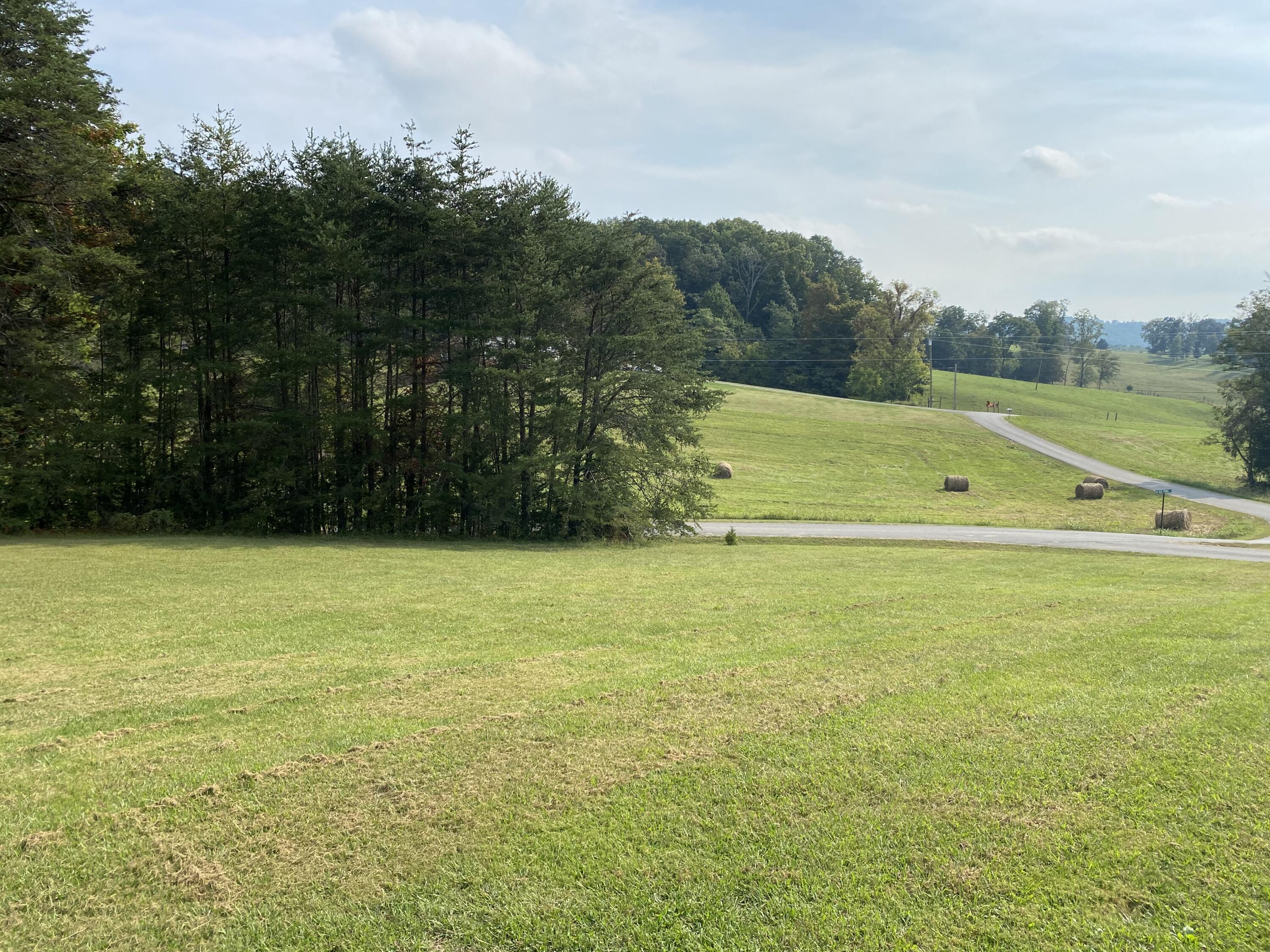 1775 Manley Road Rutledge, TN 37861 - Photo 3 of 32 IMG_6633