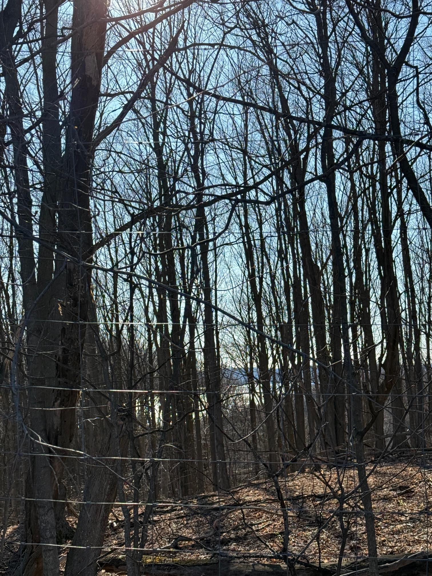 1330 Edenhill Road Beulah, MI 49617 - Photo 7 of 7