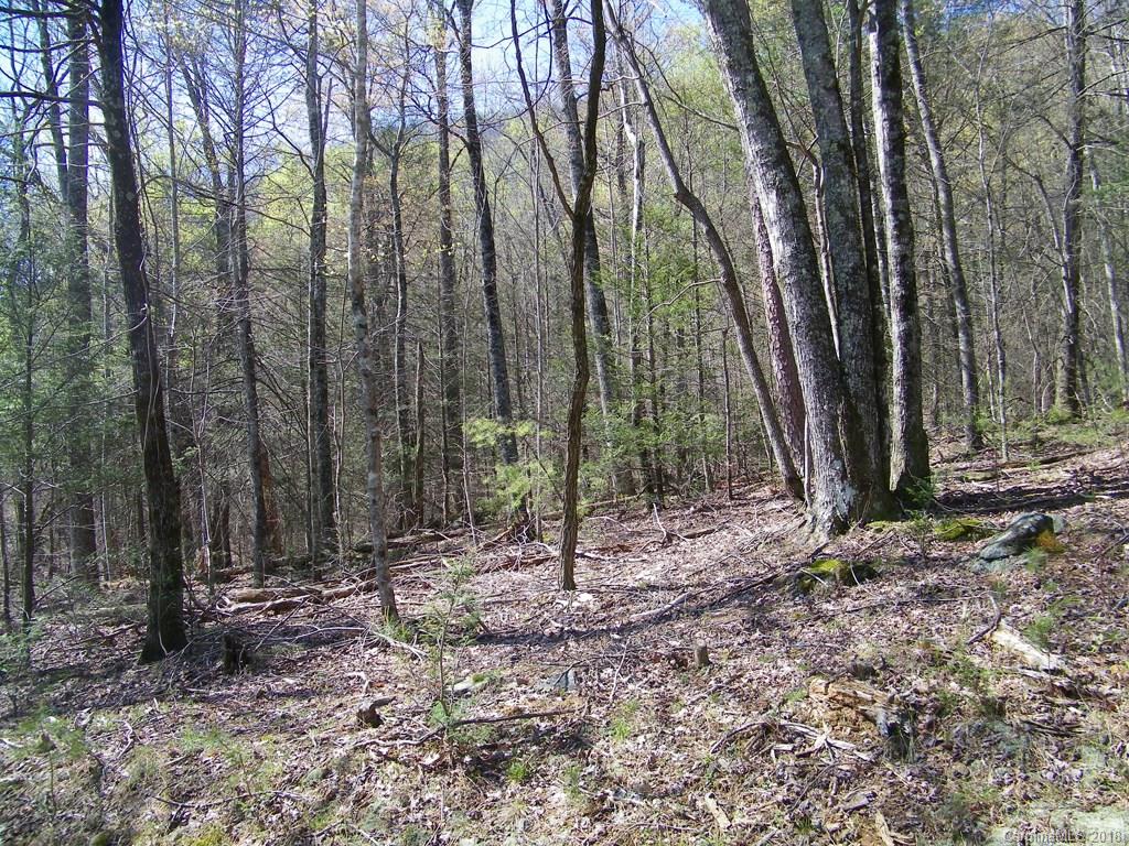 234 Quail Ridge Road Lake Lure, NC 28746 - Photo 1 of 4 Gallery Image 1