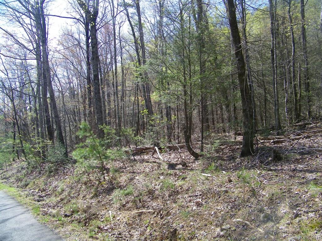 234 Quail Ridge Road Lake Lure, NC 28746 - Photo 2 of 4 Gallery Image 2