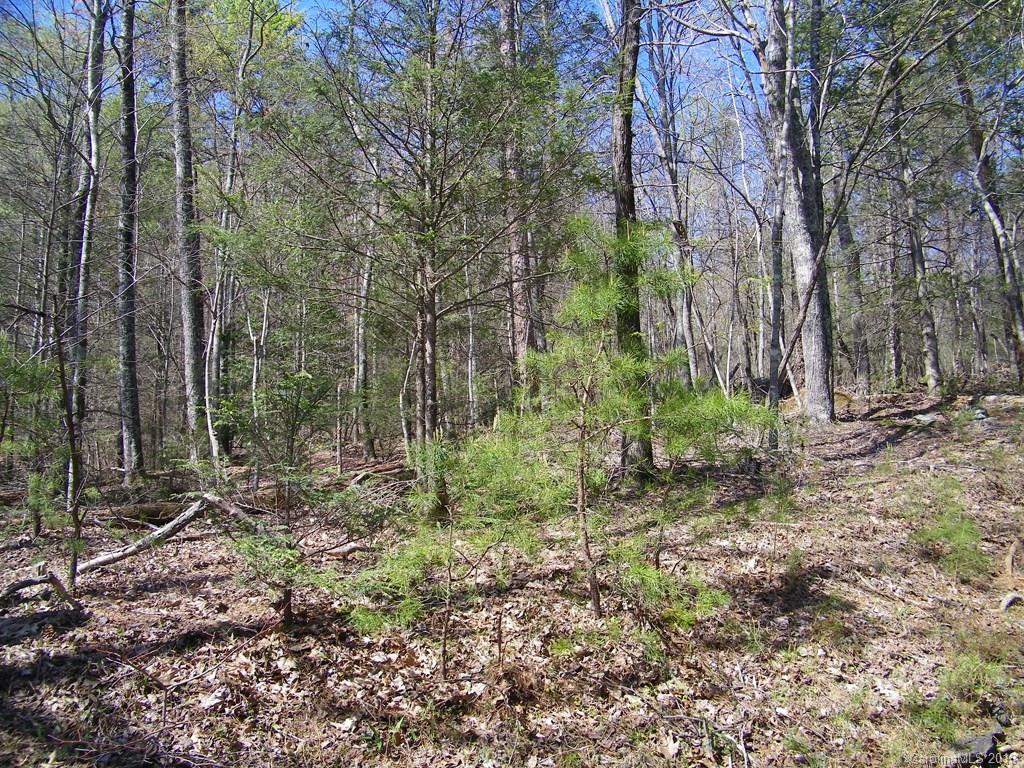 234 Quail Ridge Road Lake Lure, NC 28746 - Photo 3 of 4 Gallery Image 3