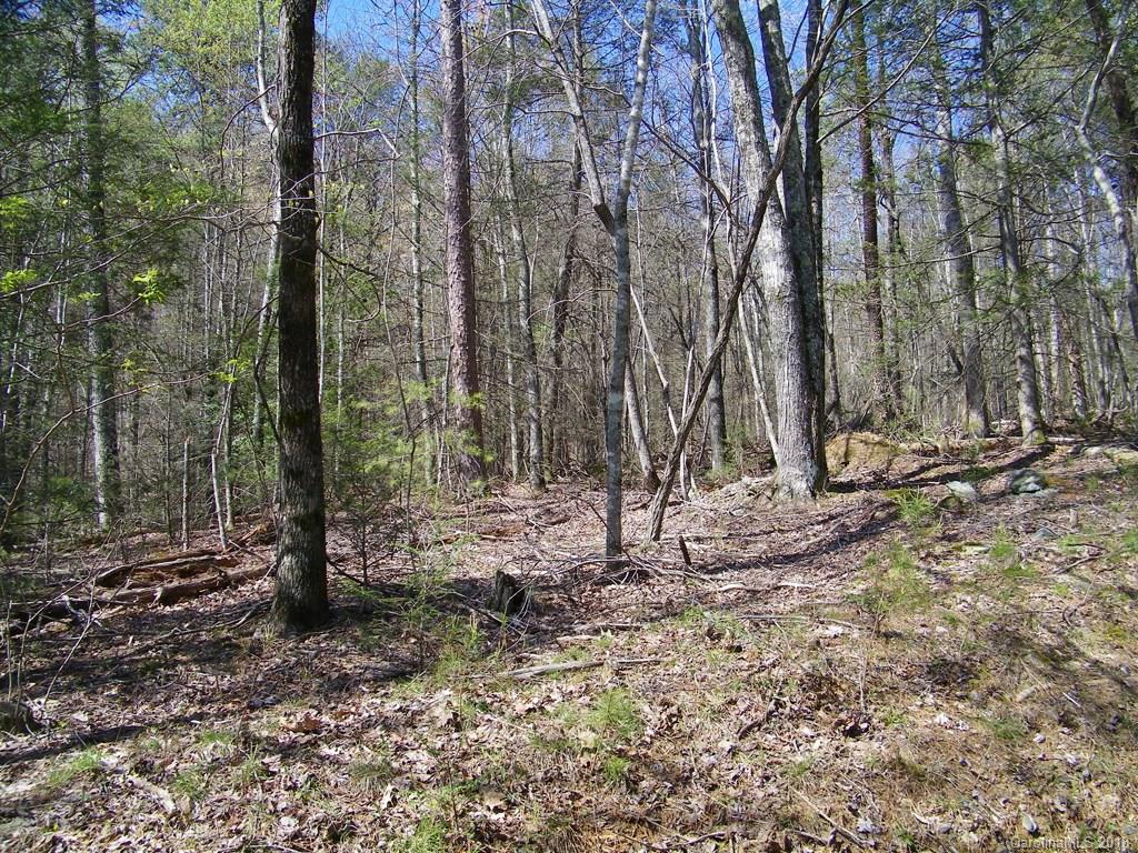 234 Quail Ridge Road Lake Lure, NC 28746 - Photo 4 of 4 Gallery Image 4