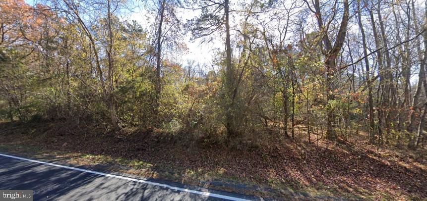 Irvington Road White Stone, VA 22578 - Photo 2 of 4 Serene woodland along the roadside.