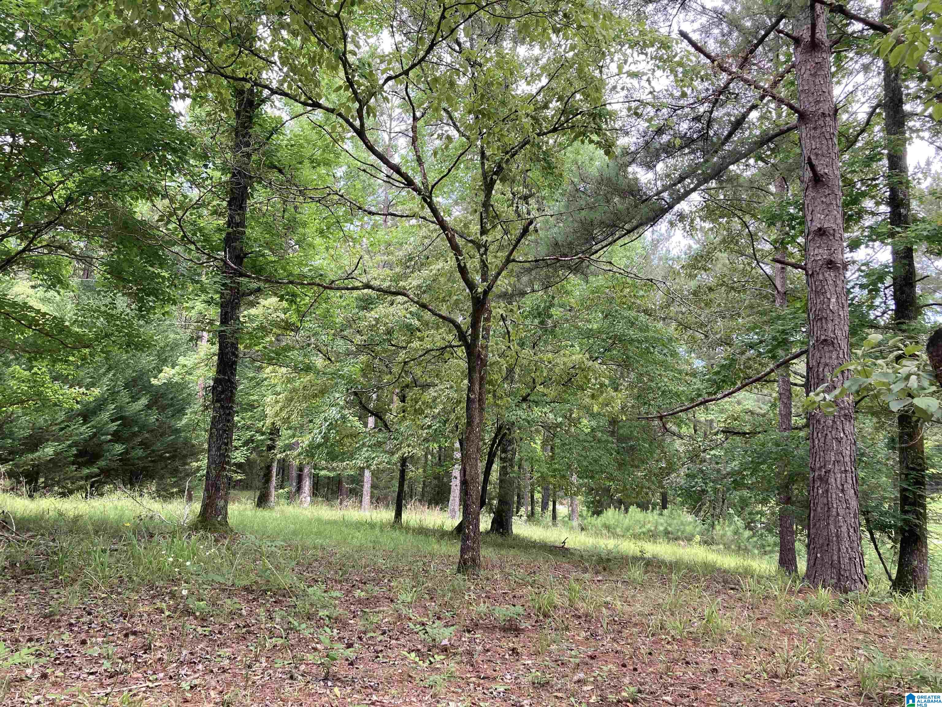 672 Deer Run Road, Unit LOT 3 Alabaster, AL 35007 - Photo 1 of 1