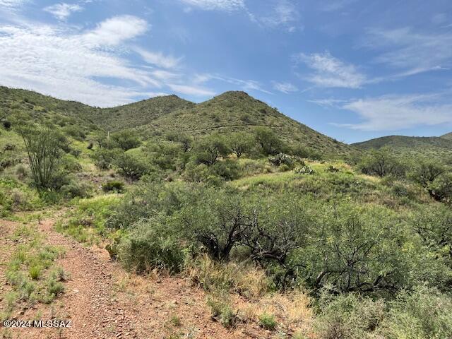 South Goodenough Trail Vail, AZ 85641 - Photo 6 of 13