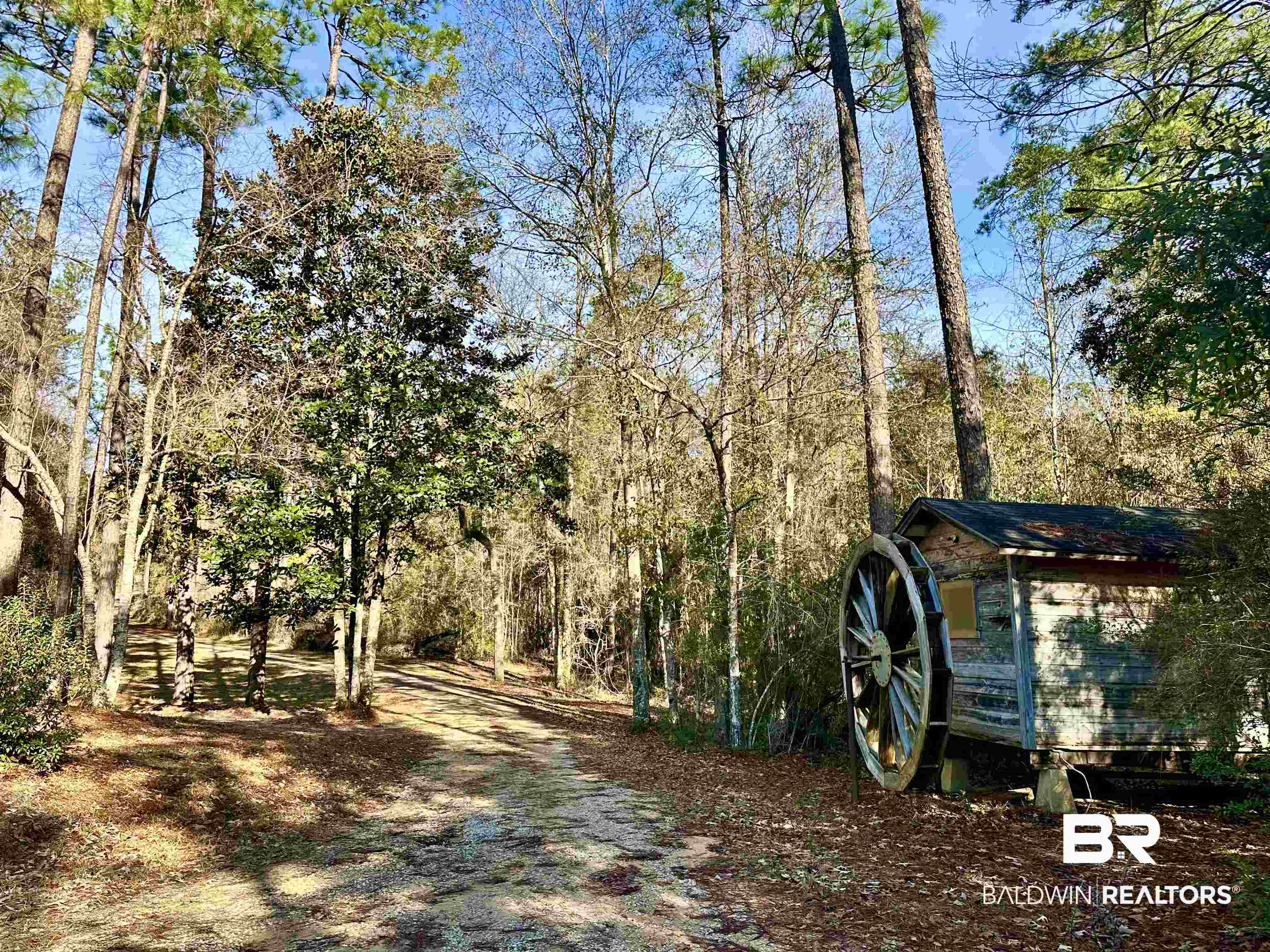 3881 Old Atmore Road Flomaton, AL 36441 - Photo 20 of 22 View of yard
