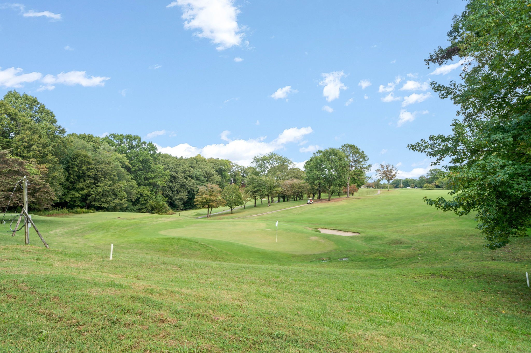 493 Georgetown Road Clarksville, TN 37043 - Photo 38 of 42 a big yard with lots of green space and plants