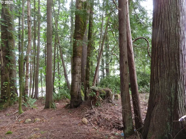 a view of outdoor space and garden