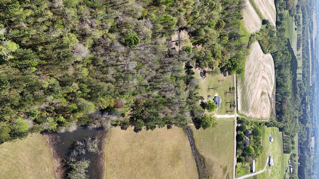 355 Billy Snell Road Dothan, AL 36301 - Photo 36 of 42