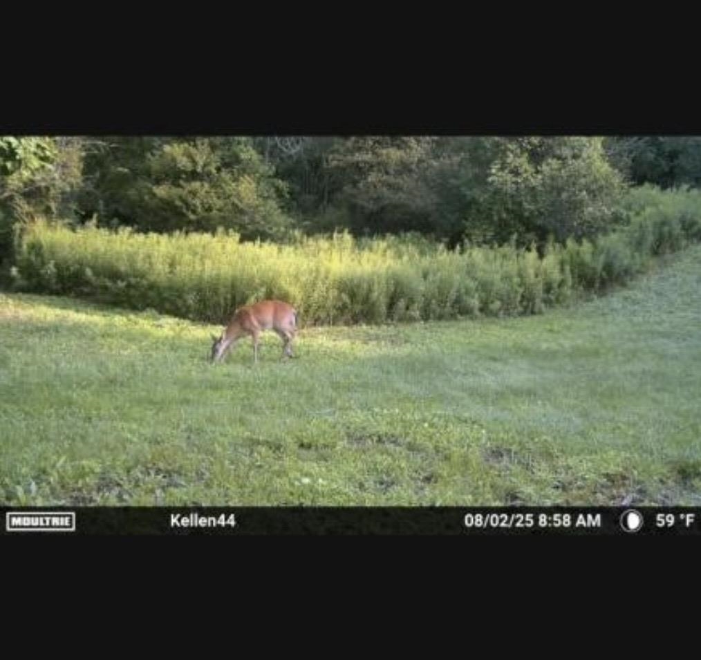 1187 Parks Road Goodells, MI 48027 - Photo 23 of 23