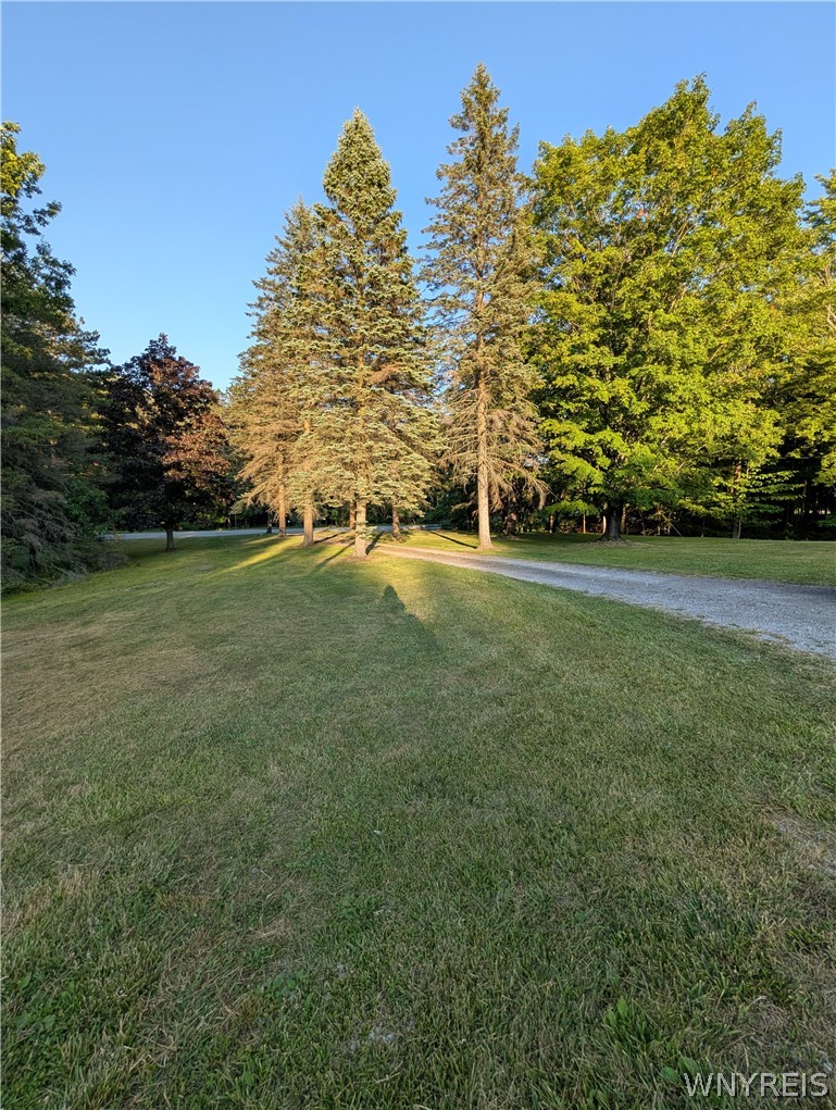 7236 Lower East Hill Road Boston, NY 14033 - Photo 2 of 26