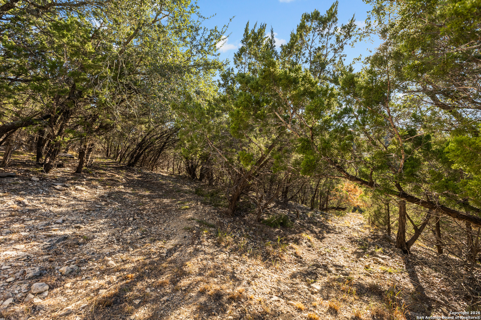 250 Misty Brook Spring Branch, TX 78070 - Photo 41 of 47