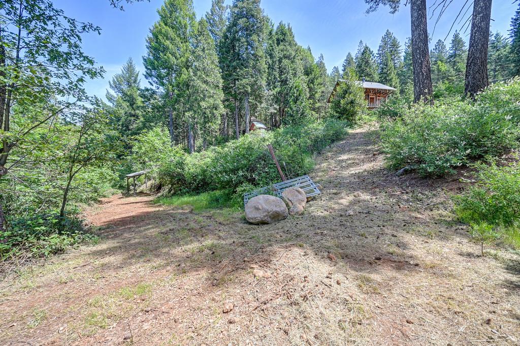 1050 Moody Ridge Road Alta, CA 95701 - Photo 19 of 77
