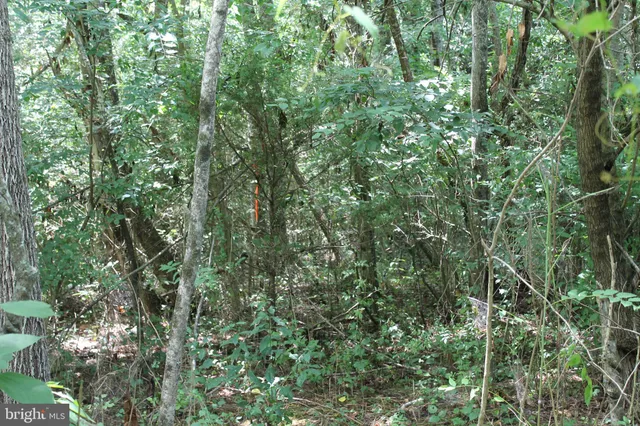 $115,000 | Marye Road, Woodford, VA 22580