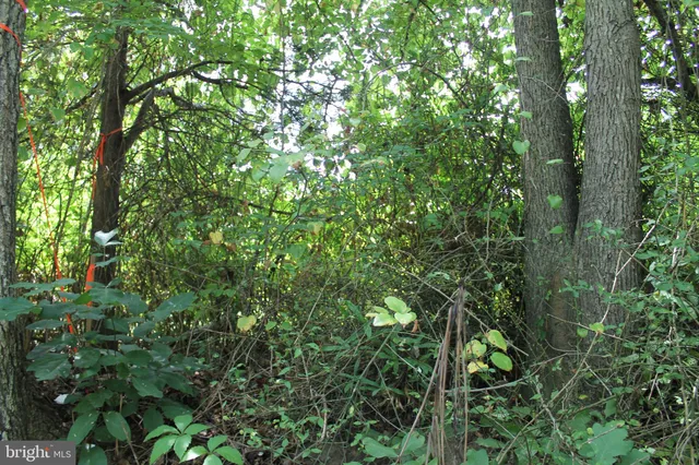 $115,000 | Marye Road, Woodford, VA 22580