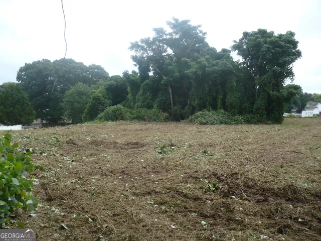 a view of a dry yard with trees
