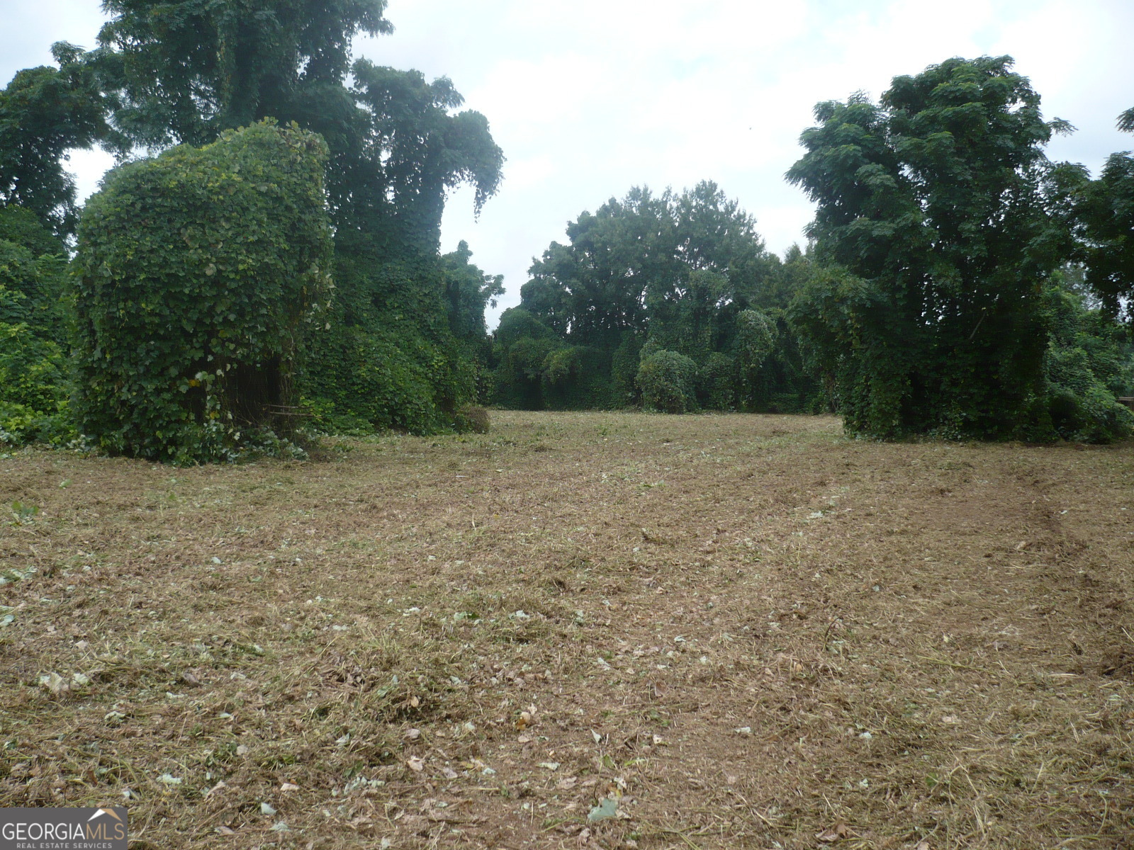2284 Highway 41 Perry, GA 31069 - Photo 9 of 10 a view of empty field with trees