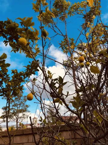 $6,800 | 12985 Seabreeze Farms Drive, San Diego, CA 92130