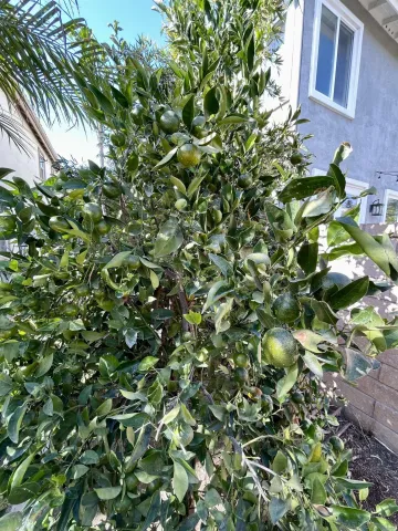 $6,800 | 12985 Seabreeze Farms Drive, San Diego, CA 92130