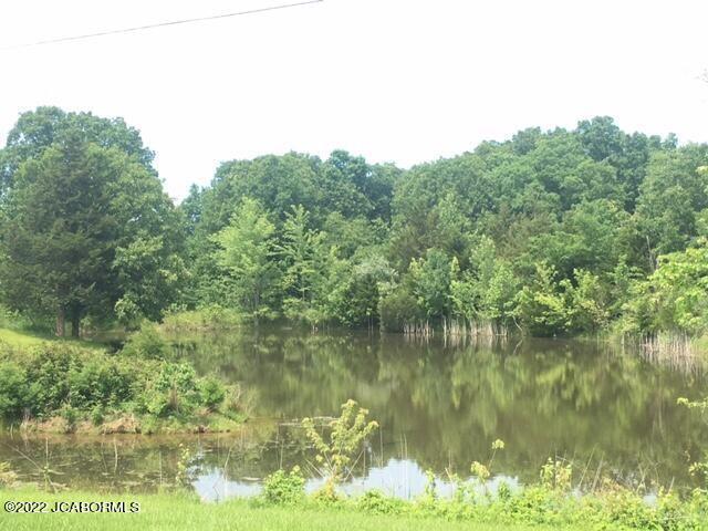 4533 State Rd Jj Fulton, MO 65251 - Photo 25 of 60
